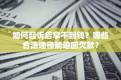 武汉如何起诉后拿不到钱？哪些合法途径能追回欠款？
