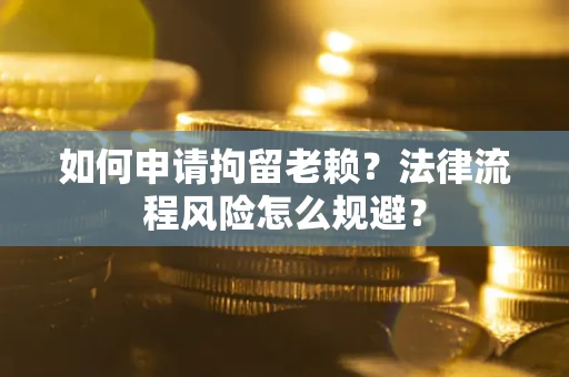 武汉如何申请拘留老赖？法律流程风险怎么规避？