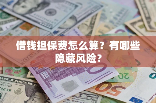 武汉借钱担保费怎么算？有哪些隐藏风险？