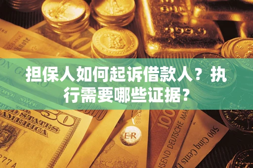 武汉担保人如何起诉借款人？执行需要哪些证据？