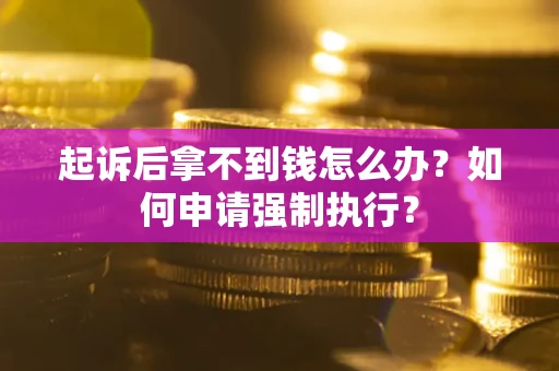 武汉起诉后拿不到钱怎么办？如何申请强制执行？
