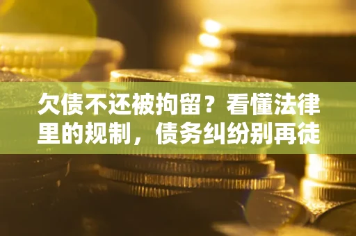 武汉欠债不还被拘留？看懂法律里的规制，债务纠纷别再徒劳奔波
