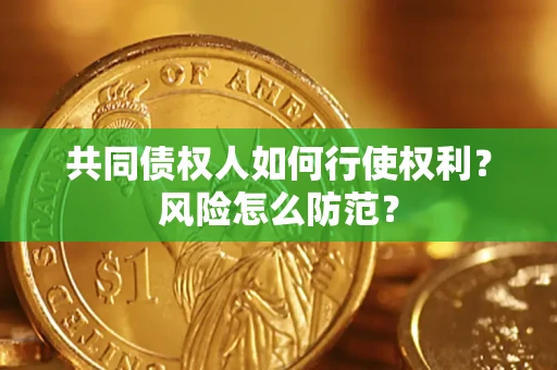 武汉共同债权人如何行使权利？风险怎么防范？