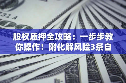 武汉股权质押全攻略：一步步教你操作！附化解风险3条自救法则