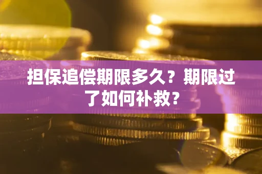 武汉担保追偿期限多久？期限过了如何补救？