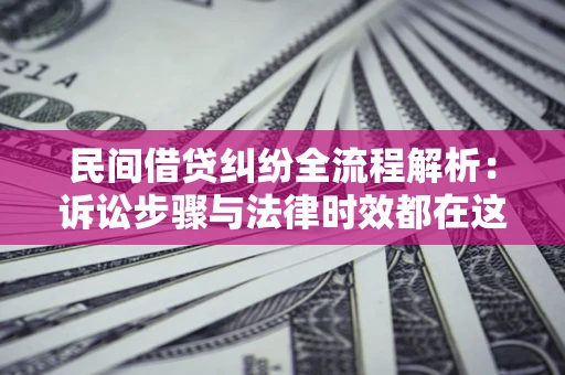 武汉民间借贷纠纷全流程解析：诉讼步骤与法律时效都在这儿了
