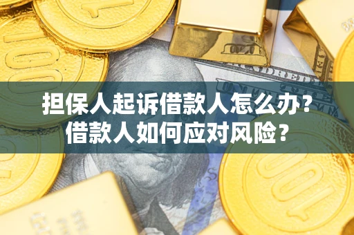 武汉担保人起诉借款人怎么办？借款人如何应对风险？