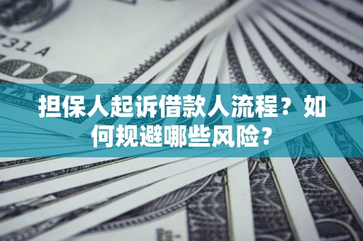 武汉担保人起诉借款人流程？如何规避哪些风险？