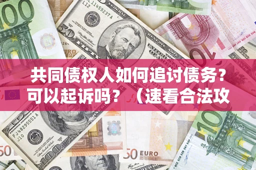 武汉共同债权人如何追讨债务？可以起诉吗？（速看合法攻略）