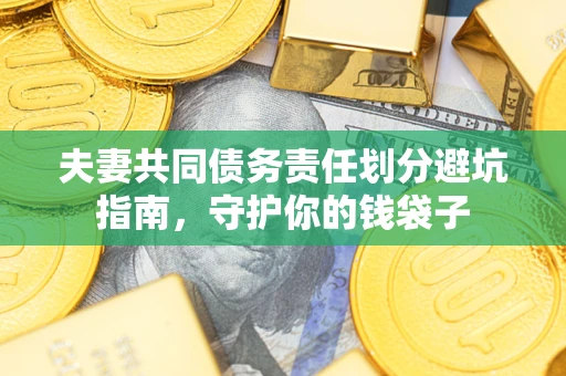 武汉夫妻共同债务责任划分避坑指南，守护你的钱袋子