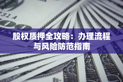 武汉股权质押全攻略：办理流程与风险防范指南