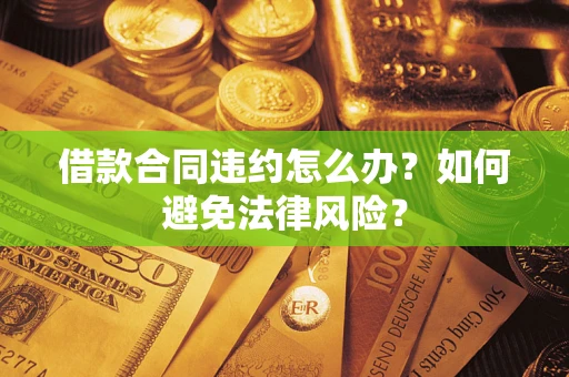 武汉借款合同违约怎么办？如何避免法律风险？