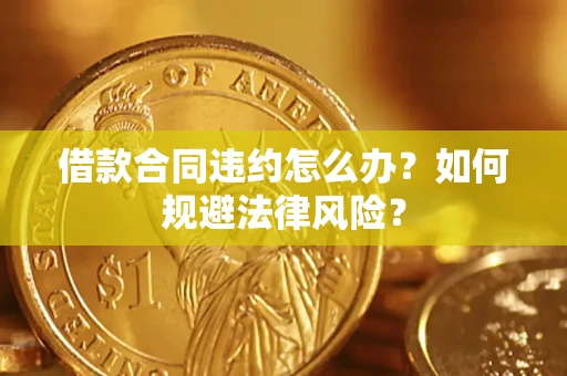 武汉借款合同违约怎么办？如何规避法律风险？